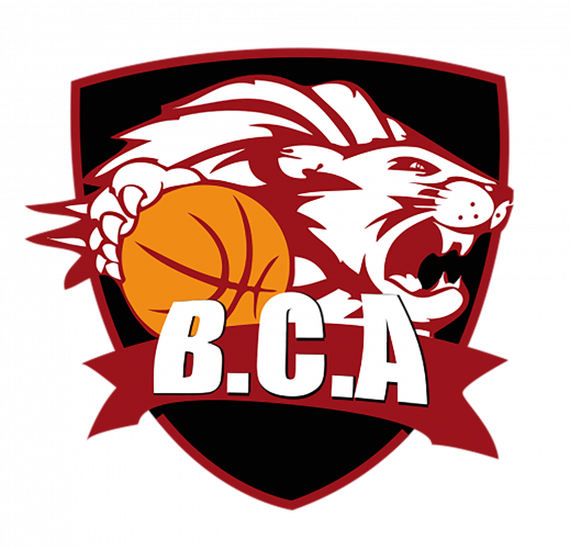 Logo Basket Club Archepontain